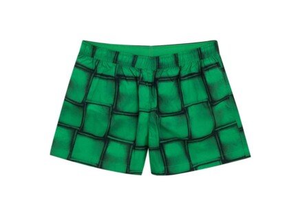 Bottega Veneta Green Polyamide Swim Shorts