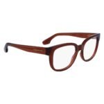 Victoria Beckham Brown Injected Glasses (Frames) - Image 3