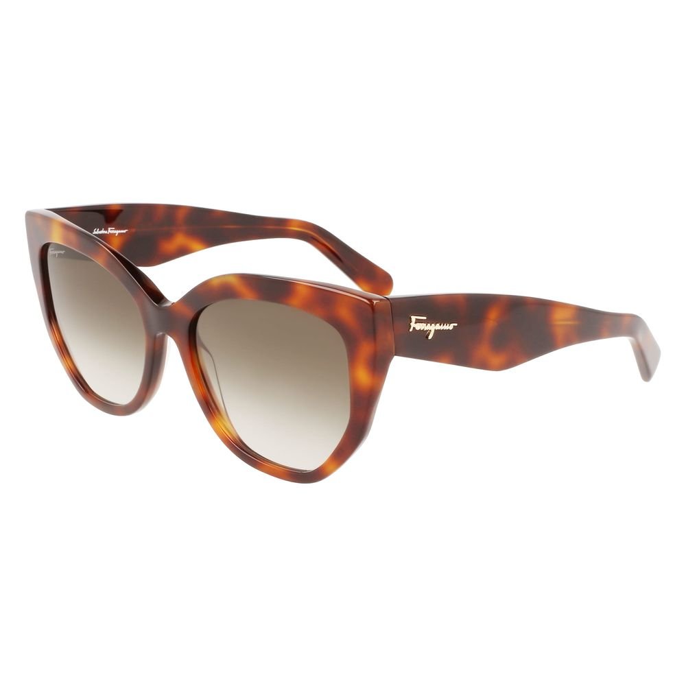 6391749.jpeg Ferragamo Brown Acetate Sunglasses - Image 1