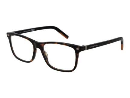Ermenegildo Zegna Brown Acetate Glasses (Frames)