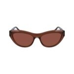 Ferragamo Brown Acetate Sunglasses - Image 2