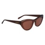Ferragamo Brown Acetate Sunglasses - Image 3