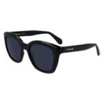Ferragamo Black Injected Sunglasses