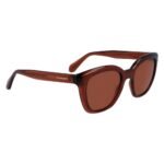 Ferragamo Brown Injected Sunglasses - Image 3