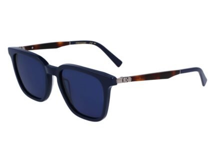 Ferragamo Blue Acetate Sunglasses