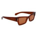 Ferragamo Brown Acetate Sunglasses - Image 3