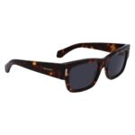 Ferragamo Brown Acetate Sunglasses - Image 3