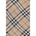 Burberry Beige Silk Scarf - Image 3